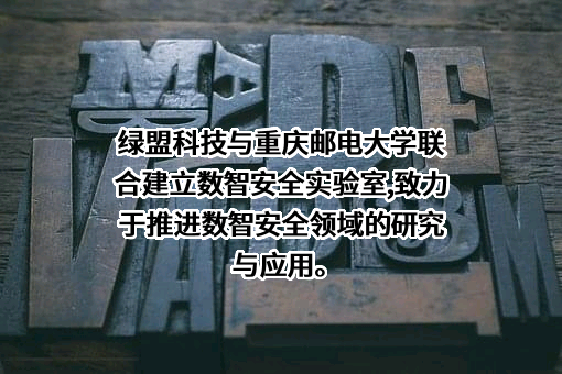 绿盟科技集团股份有限公司