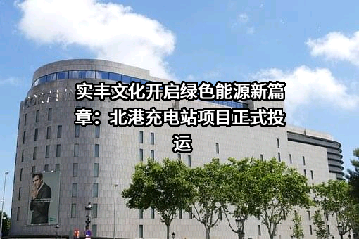 实丰文化发展股份有限公司