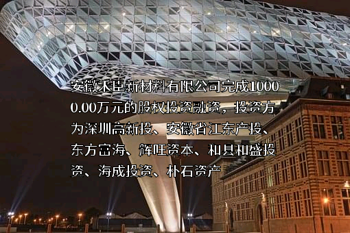 安徽禾臣新材料有限公司