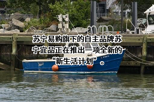 苏宁易购集团股份有限公司