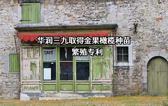 华润三九医药股份有限公司