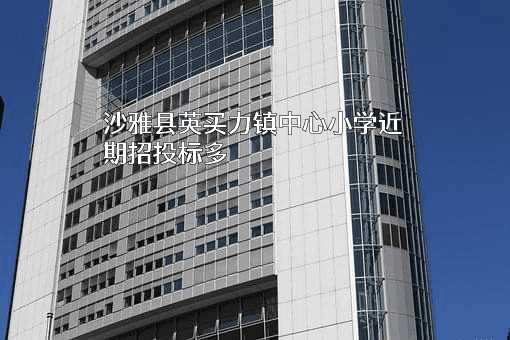 沙雅县英买力镇中心小学