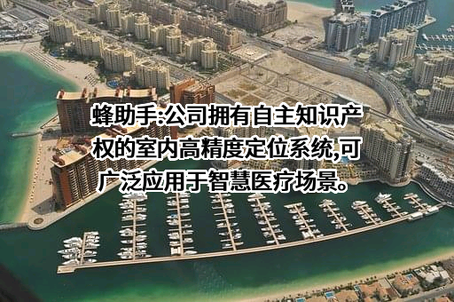 蜂助手股份有限公司