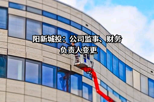 阳新县城镇建设投资开发有限公司