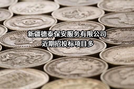新疆德泰保安服务有限公司