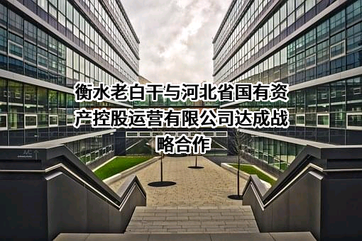 河北省国有资产控股运营有限公司