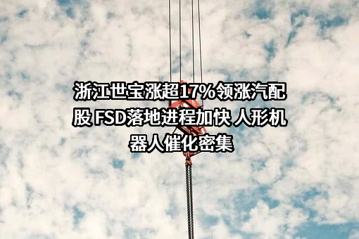 浙江世宝股份有限公司