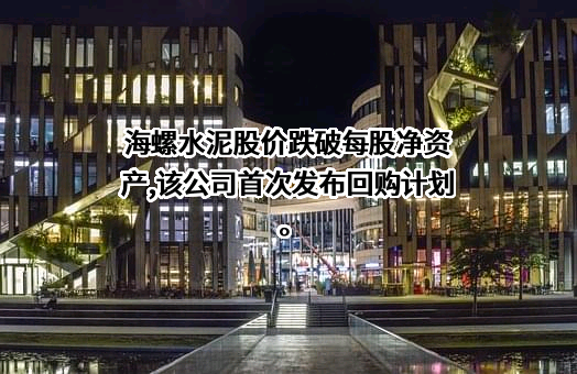 安徽海螺水泥股份有限公司