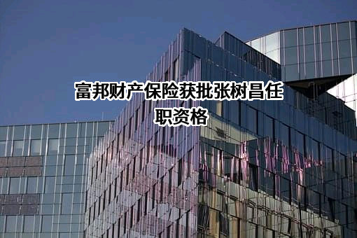 富邦财产保险有限公司