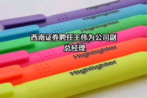 西南证券股份有限公司