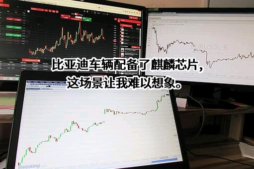 比亚迪股份有限公司
