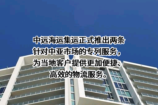 宁波中远海运集装箱运输有限公司