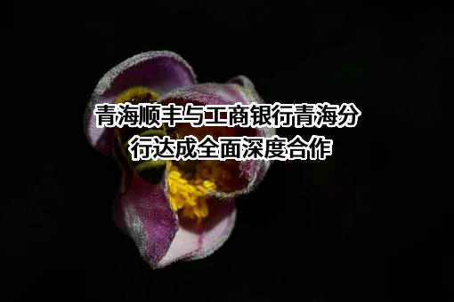 青海顺丰速运有限公司