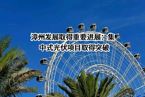 福建漳州发展股份有限公司