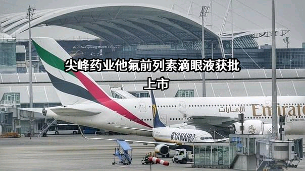 浙江尖峰药业有限公司
