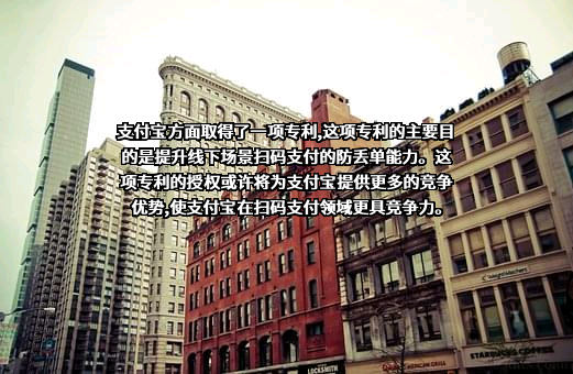 支付宝（中国）网络技术有限公司