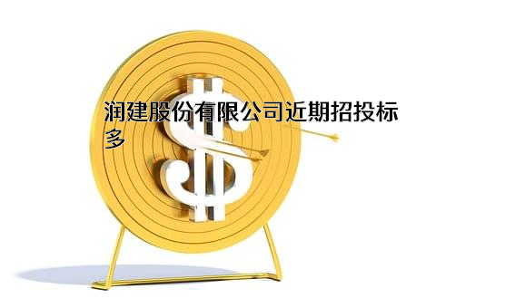 润建股份有限公司