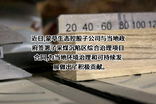 国昇设计有限责任公司