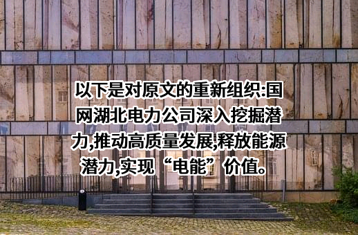 国网湖北电力实业有限公司