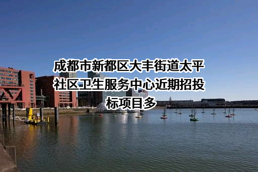 成都市新都区大丰街道太平社区卫生服务中心