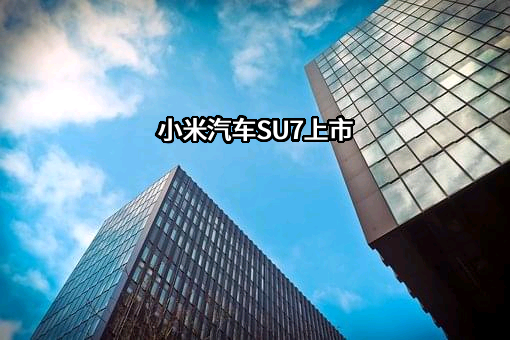 小米汽车有限公司