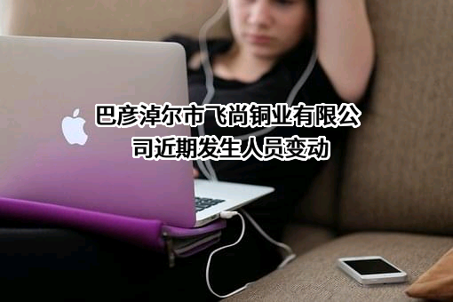 巴彦淖尔市飞尚铜业有限公司