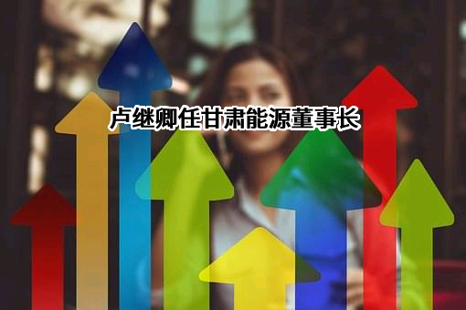 甘肃电投能源发展股份有限公司