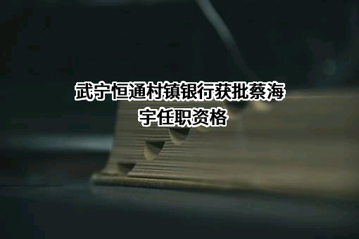 武宁恒通村镇银行股份有限公司