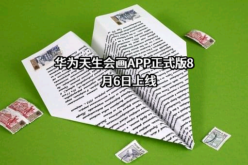 华为技术有限公司