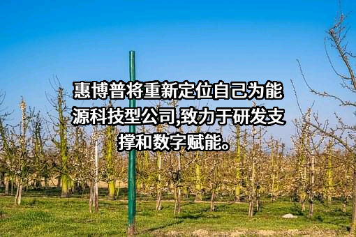 华油惠博普科技股份有限公司