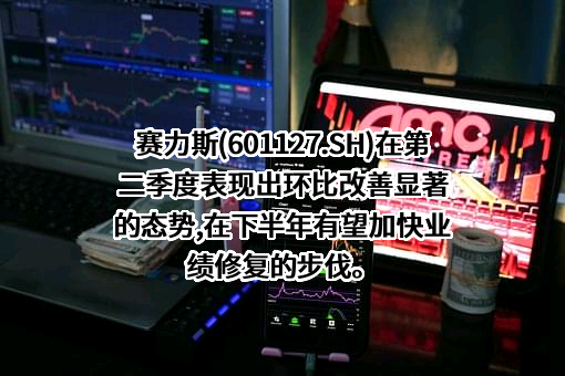 上海赛力斯汽车销售服务有限公司