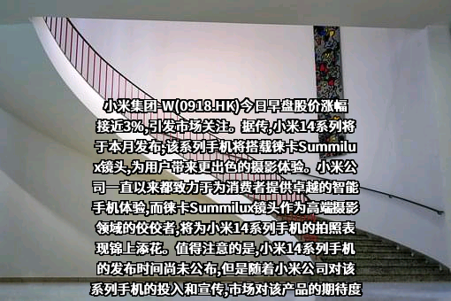 小米公司