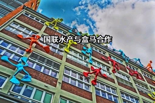 上海盒马网络科技有限公司