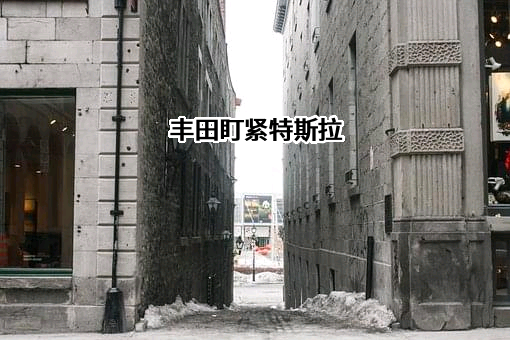 广汽丰田汽车有限公司
