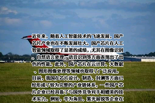 南京后摩智能科技有限公司