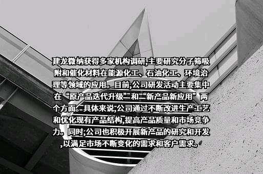 洛阳建龙微纳新材料股份有限公司