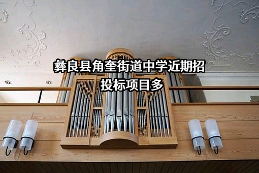 彝良县角奎街道中学