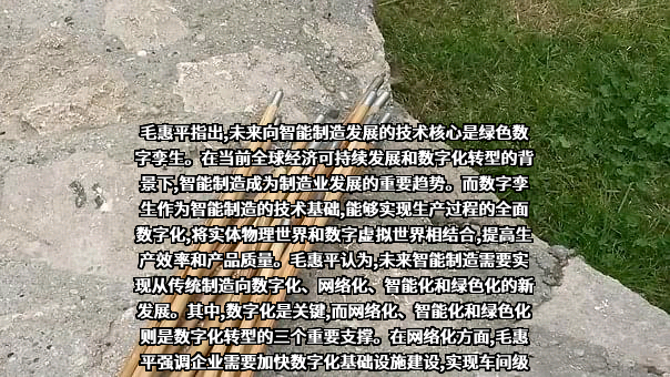 西门子（中国）有限公司