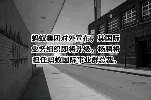 蚂蚁科技集团股份有限公司