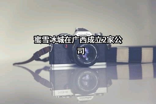 蜜雪冰城股份有限公司