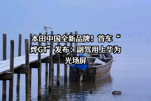 华为技术有限公司