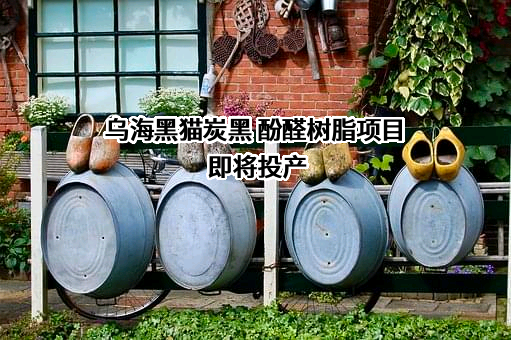 乌海黑猫炭黑有限责任公司