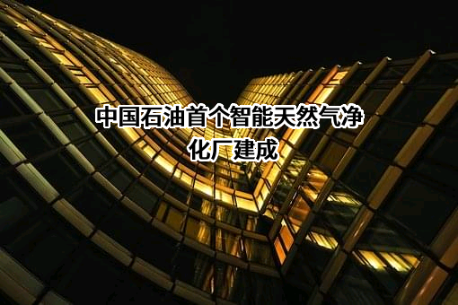 中国石油天然气股份有限公司