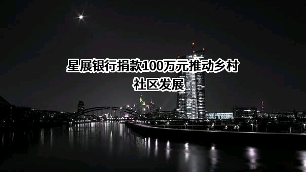 星展银行（中国）有限公司
