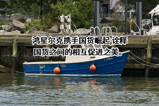 福建鸿星尔克体育用品有限公司