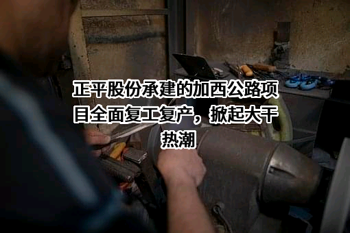 正平路桥建设股份有限公司