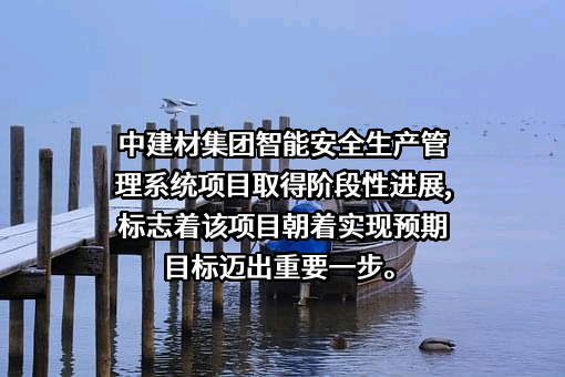 中建材集团进出口有限公司