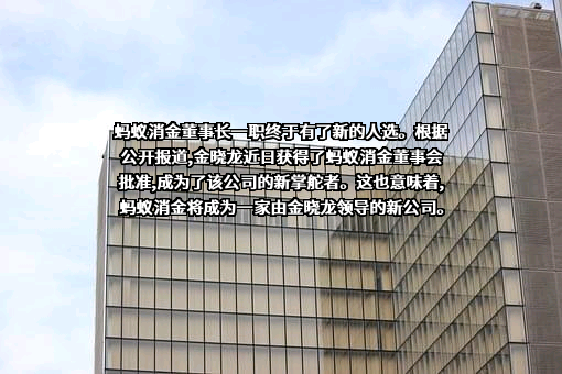 重庆蚂蚁消费金融有限公司