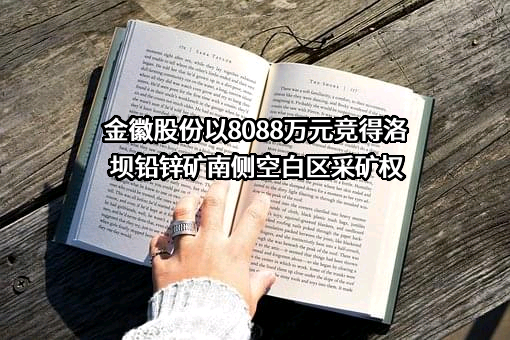 金徽股份以8088万元竞得洛坝铅锌矿南侧空白区采矿权