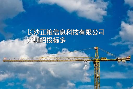 长沙正粮信息科技有限公司